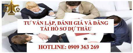 TƯ VẤN LẬP, ĐÁNH GIÁ VÀ ĐĂNG TẢI HỒ SƠ DỰ THẦU